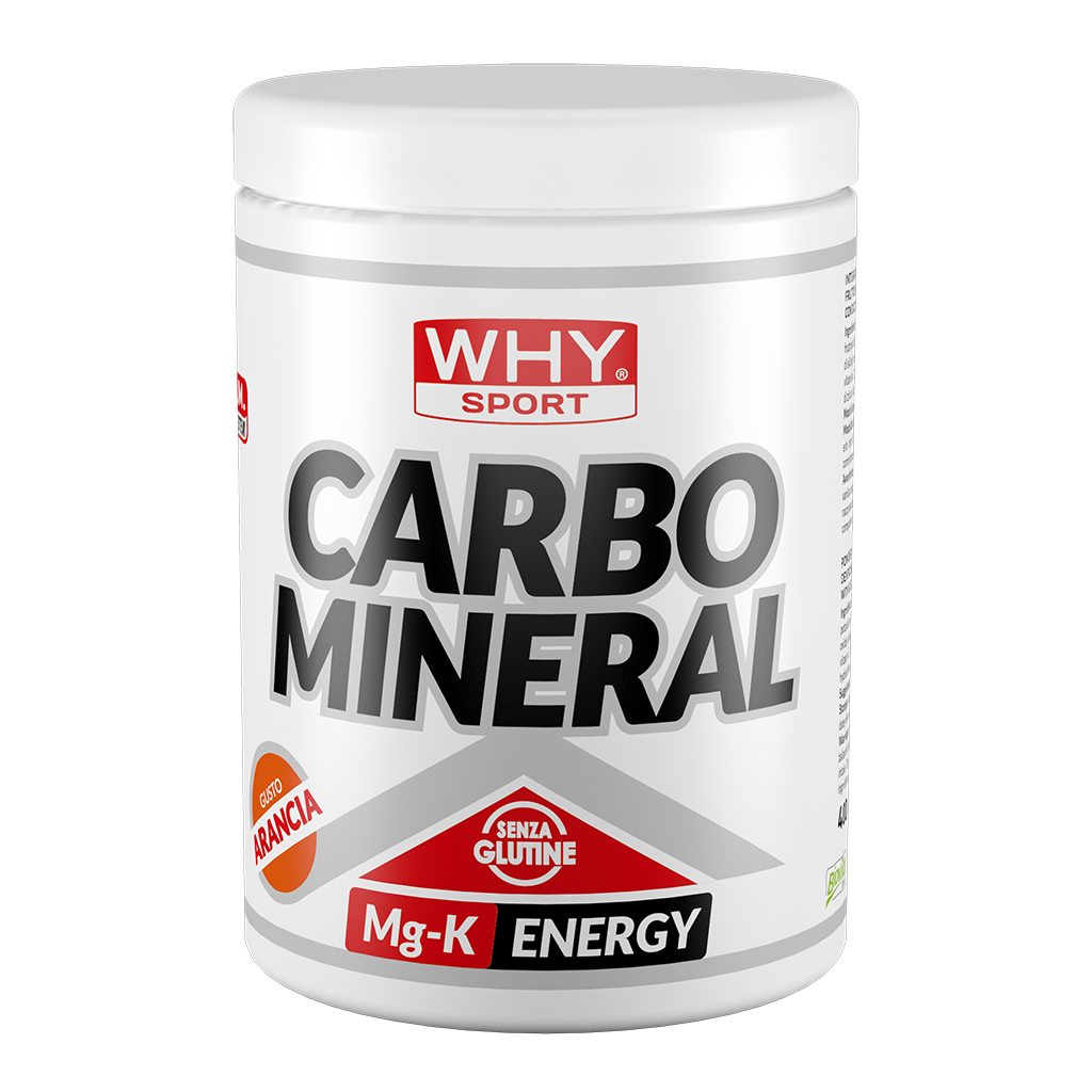 Why Sport Carbo Mineral 400g Arancia Maltodestrine in Polvere per Energia e Recupero